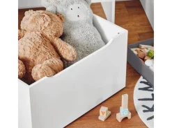 Online SoBuy Bücherregal für Kinder Kinderregal mit 2 Boxen Aufbewahrungsregal KMB71-W