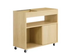 SoBuy Beistelltisch Couchtisch mit Rollen Druckertisch Aktenschrank FBT152-N