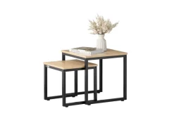 Discount SoBuy 2er Set Couchtisch Beistelltisch Sofatisch Kaffeetisch Natur FBT42-N