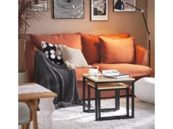 Discount SoBuy 2er Set Couchtisch Beistelltisch Sofatisch Kaffeetisch Natur FBT42-N