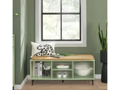 SoBuy Schuhbank mit Sitzfläche und Schiebetüren MDF Glas Grün FSR115-GR