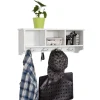 SoBuy Wandgarderobe Hängeregal Wandschrank mit 4 Haken FRG48-W