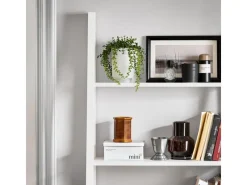 Hot SoBuy Wandregal Leiterregal Standregal Bücherregal Weiß FRG61-W