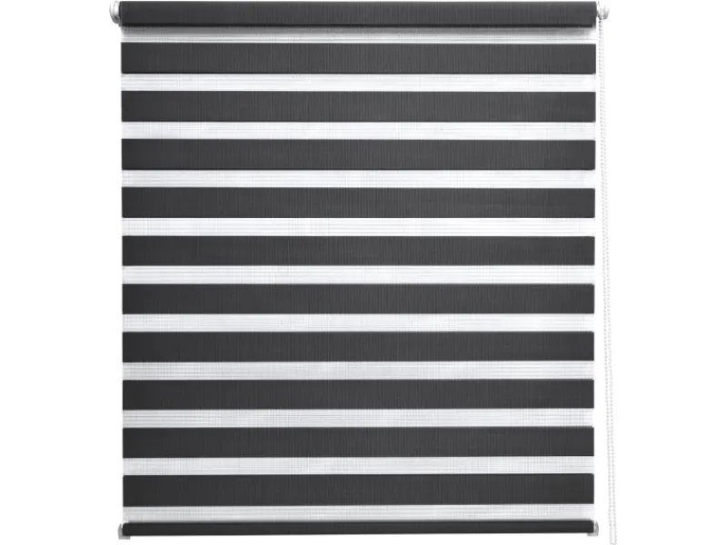 Sol Royal SolDecor DL2 Doppelrollo 60x150cm