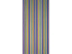 Hot Streifenvorhang Brilliant Bunt 90 cm x 200 cm