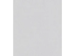 Online Erfurt Strukturvlies Basic 408