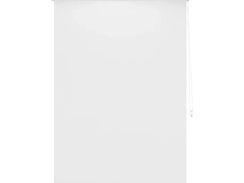 Tageslicht-Rollo Zamora 120 cm x 175 cm