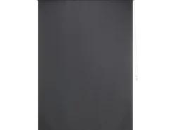 Online Tageslicht-Rollo Zamora 120 cm x 175 cm Grau