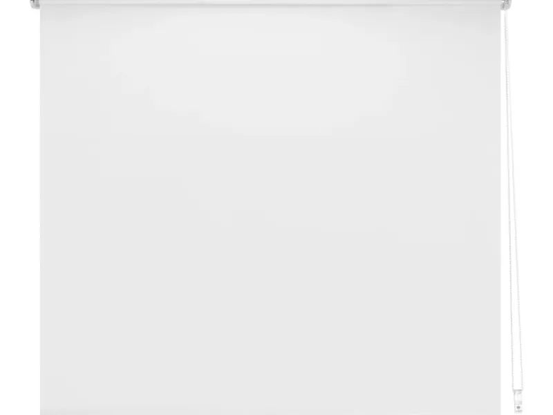Outlet Tageslicht-Rollo Zamora 100 cm x 175 cm Weiß