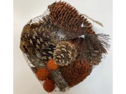 Hot Tannenzapfen und Deko im Netz Orange