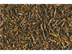 New Tetra Ergänzungsfuttermittel ReptoDelica Grasshoppers 250 ml