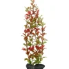 Tetra Kunstpflanze DecoArt Plant L Red Ludwigia