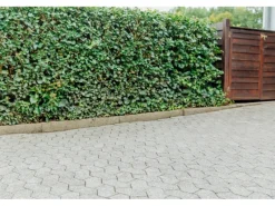 Online Ultrament Betonlasur Pflaster Frisch 2,5 l Grau