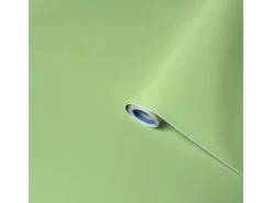 Best Venilia Klebefolie 45 cm x 200 cm Pistazie