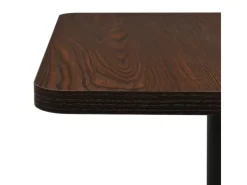 Discount vidaXL BistRotisch Dunkle Esche 60x60x107 cm