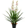 vidaXL Künstliche Cymbidium Orchideenpflanze mit Topf 100 cm Grün