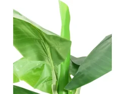 vidaXL Künstlicher Bananenbaum mit Topf 300 cm Grün