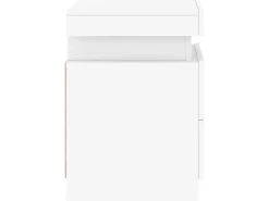 vidaXL Nachttische mit LED-Leuchten 2 Stk Weiß 35x39x55 cm