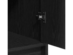 vidaXL Sideboard Schwarze Eiche 40 x 40,5 x 75 cm Holzwerkstoff 865065