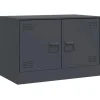 vidaXL TV-Schrank Anthrazit 67x39x44 cm Stahl Modell 3