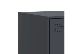 vidaXL TV-Schrank Anthrazit 67x39x44 cm Stahl Modell 3