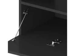 vidaXL TV-Schrank mit LED-Leuchten Schwarz 75x35x40 cm