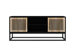 vidaXL TV-Schrank Schwarz 105x30x45 cm Holzwerkstoff und Eisen