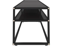 Clearance vidaXL TV-Schrank Schwarz 220x40x40,5 cm Hartglas