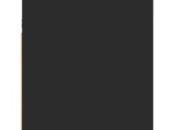 vidaXL TV-Wandschrank Schwarz 30,5x30x30 cm