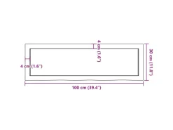 vidaXL Waschtischplatte 100x30x4 cm Massivholz Unbehandelt