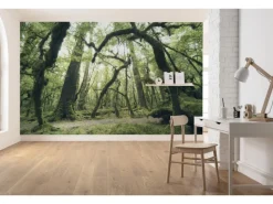 Best Komar Vlies Fototapete Ancient Green 450x280 cm