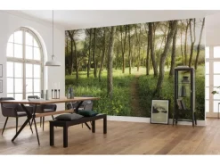 Komar Vlies Fototapete Blütenzauberwald 450x280 cm