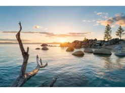 Komar Vlies Fototapete Final Light 450x280 cm