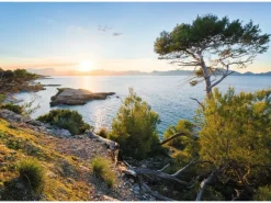 Sale Komar Vlies Fototapete Licht des Südens 400x280 cm