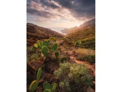 Komar Vlies Fototapete Warmes Licht 200x280 cm