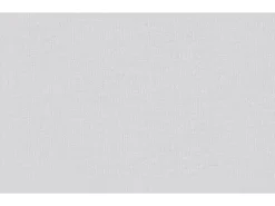 Erfurt Vliesfaser Basic 101