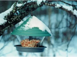 Orthex Vogelfutterhaus Katan