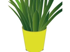 Wagner design yourself Wagner Topffüße Set Schwarz zum Unterlegen Ø 60 mm