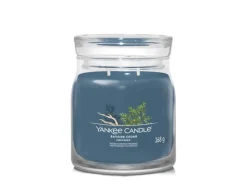 Best Yankee Candle Bayside Cedar Medium 368g